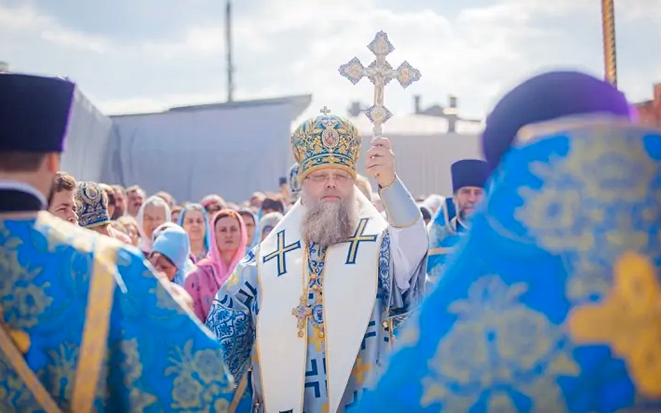 Ростовский митрополит заявил, что ЭКО — «дело противоестественное»