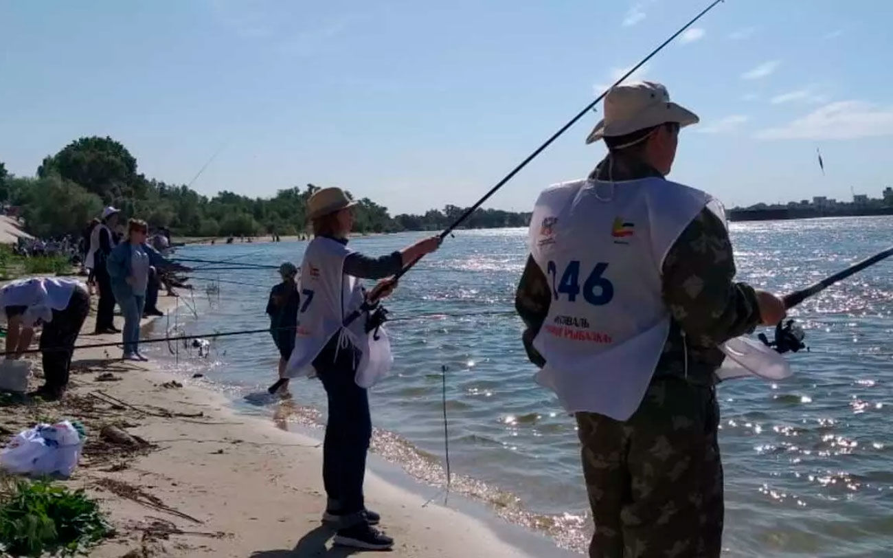 Запрет на вылов редкой рыбы шемаи могут снять в Ростовской области