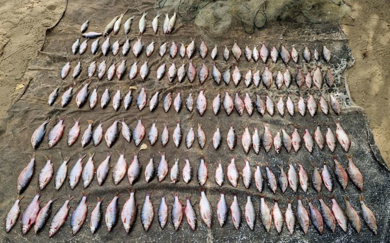 В акватории Цимлянского водохранилища задержали браконьера, ловившего рыбу сетями